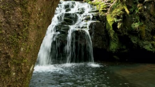Waterfall in forest 4k slider shot. Tree reveals the water running over the rocks with moss and tree