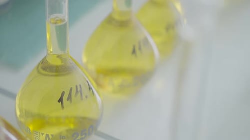 Round Bottom Flasks in Science Lab