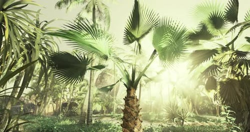 Sunlight Filtering Through Lush Leaves in a Tranquil Forest Setting