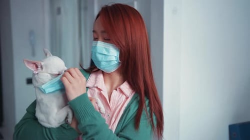 Nice Young Redhaired Asian Woman Petting Her Adorable Dog Both Wearing Medical Masks White Chuhuahua