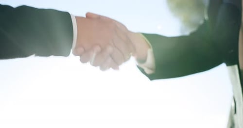 Professional, partnership and shaking hands for interview, business meeting