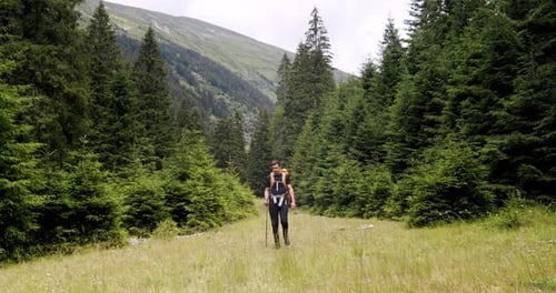Young Man with Equipment Hiking in Mountain Forest at Summer Day