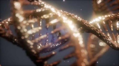 Animated 3D Golden DNA Helix Structure for Science and Medical Projects