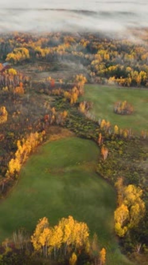 Vue aérienne de la lumière du soleil qui traverse le brouillard du Minnesota. Vidéo verticale.