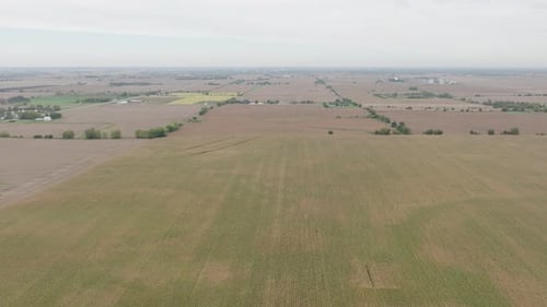 Hectares of land at the farm used as cornfields, aerial track shot high altitude