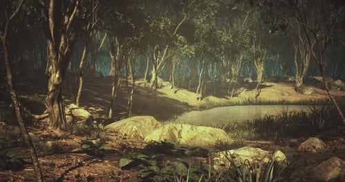 Tranquil Forest Landscape with a Serene Pond Surrounded By Rocks