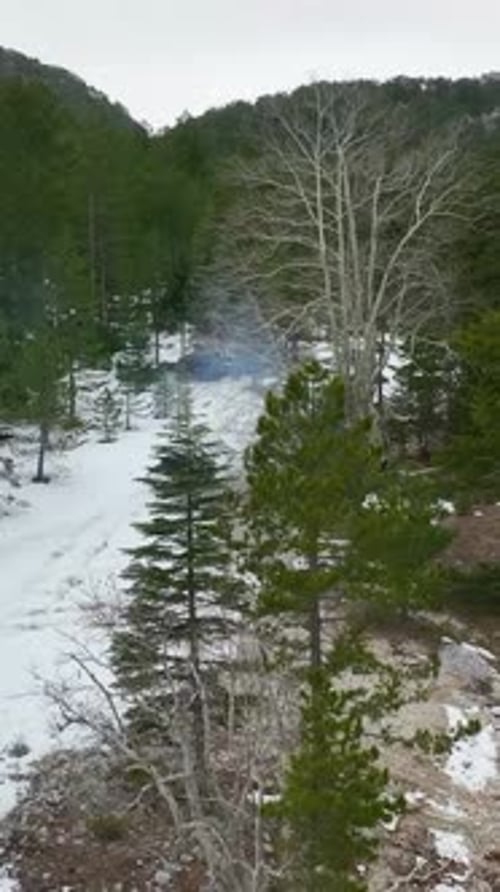 Vertical Video Above the Winter Canopy Aerial Cinematics of Mountain Forest with River and Cinematic