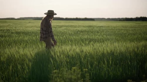 Farmer Worker Woman with Tablet Walking on Farm Field Among Green Seedlings Agribusiness Agriculture