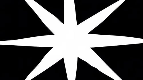 Geometric Star Burst Shape Reveal Transition Animation