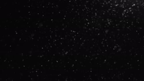 Atmospheric Black and White Dust Particles Overlay