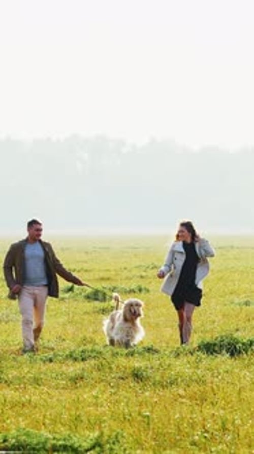 A Joyful Day Out A Happy Couple Walking Their Dog in a Beautiful and Serene Field