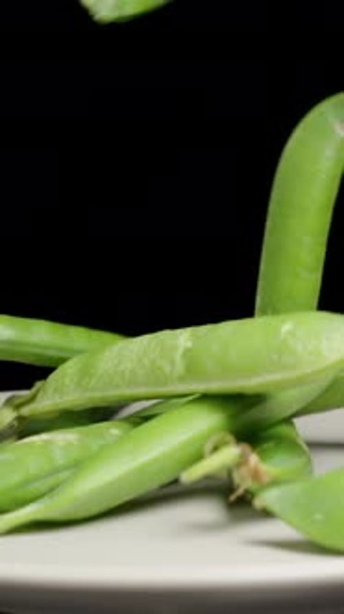 Vertical video. Green Pea Pods falling onto a rotating plate on a black background.