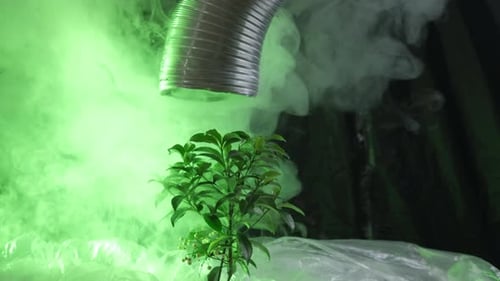 Green Smoke Surrounds Plant in Abstract Scene