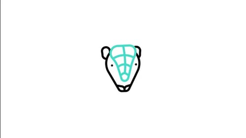 Minimalist Line Art Animal Head Reveal Animation