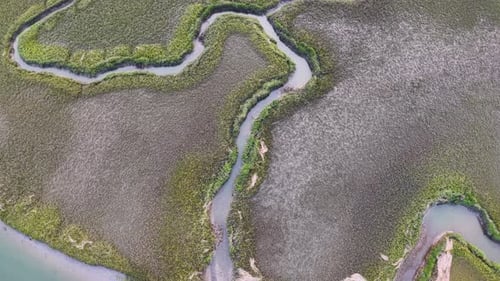 Aerial view of winding tidal creeks and salt marshes near the coast of South Carolina