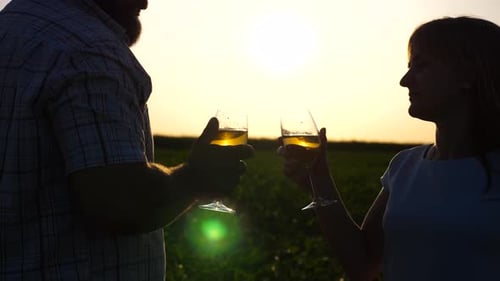 Romantic Couple Toasting Wine at Sunset in Field