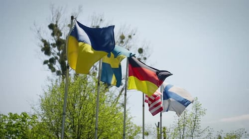 Various National Flags Waving in Gentle Breeze