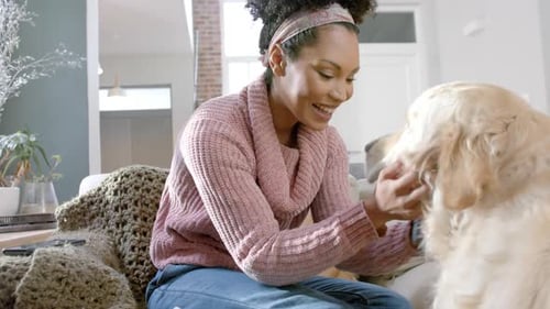 Woman Pets Golden Retriever Dog in Living Room