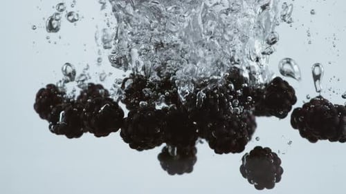 Blackberries plunge into refreshing water creating beautiful bubbles in slow motion