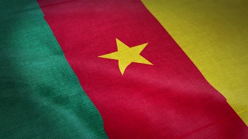 Cameroon National Flag Waving Seamless Loop