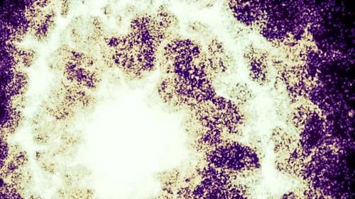 Abstract Lighting Dust Particle and Glare on a Dark Background