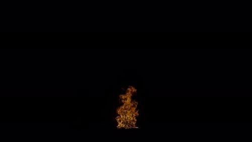 Ignite Collection: A medium sized flame ignites from ground in center on dark background shot in 4k