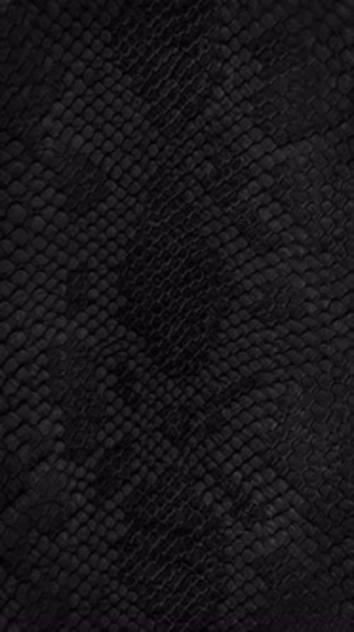texture de peau de serpent, gros plan, arrière-plan, vidéo verticale