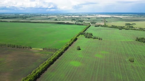 Aerial Panorama of Agricultural Ground with Green Fields Trees and Roads