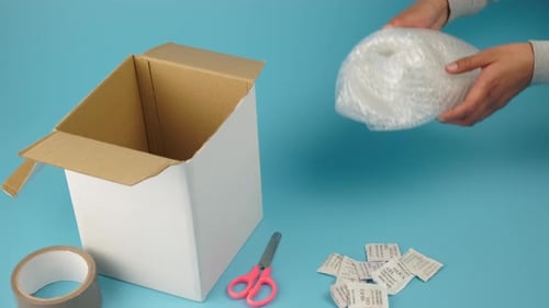 Packaging Supplies, Placing A Fragile Piece Wrapped In Bubble Wrap Inside A Cardboard Box