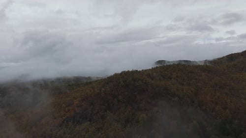 Dense Fog Above The Mountain Forest In The Evening