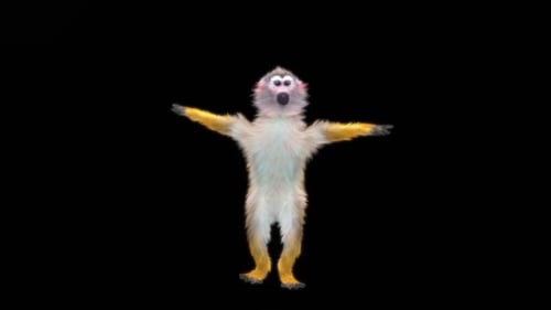 49 Monkey Dance HD