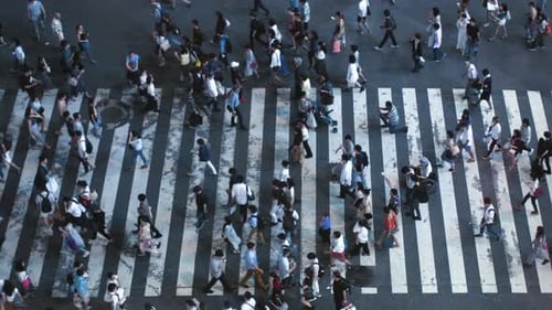 Ускоренный снимок людей, идущих по пешеходному переходу дороги сверху вниз, под высоким углом.
Большой