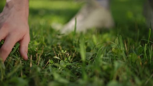 Slow Motion Closeup An Unrecognizable Man Runs His Hand Along the Green Grass While Standing on a