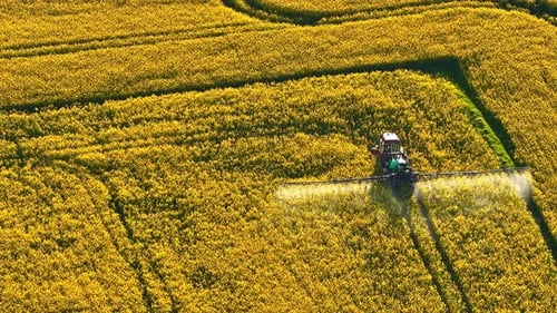 Fertilizer Spreading Working in a Yellow Agricultural Field