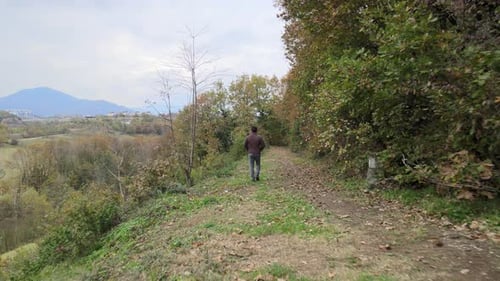 young man walking in nature