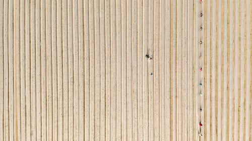 4k drone footage of people harvesting crops with greenhouses on a farm