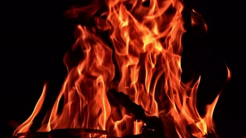 Ramas de madera ardiendo en la gran fogata. Hermosa vista de las llamas de fuego que se elevan.