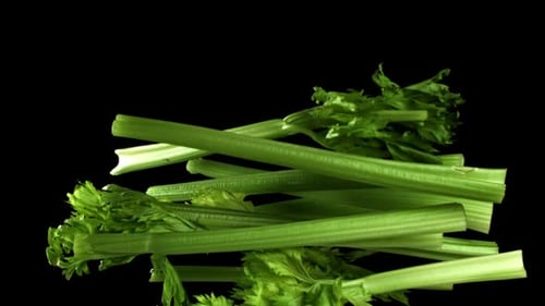 Fresh Celery Soars Up on a Black Background Filmed on a Highspeed Camera at 1000 Fps
