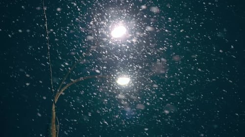 Slowly Falling Snow in Winter in the Light of Street Lampswinter Atmosphere
