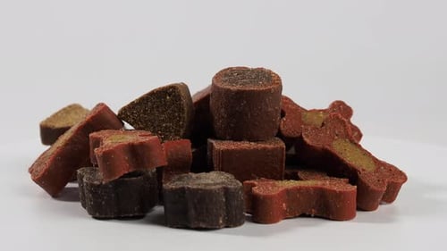 Appetizing treat for dogs. Dog food