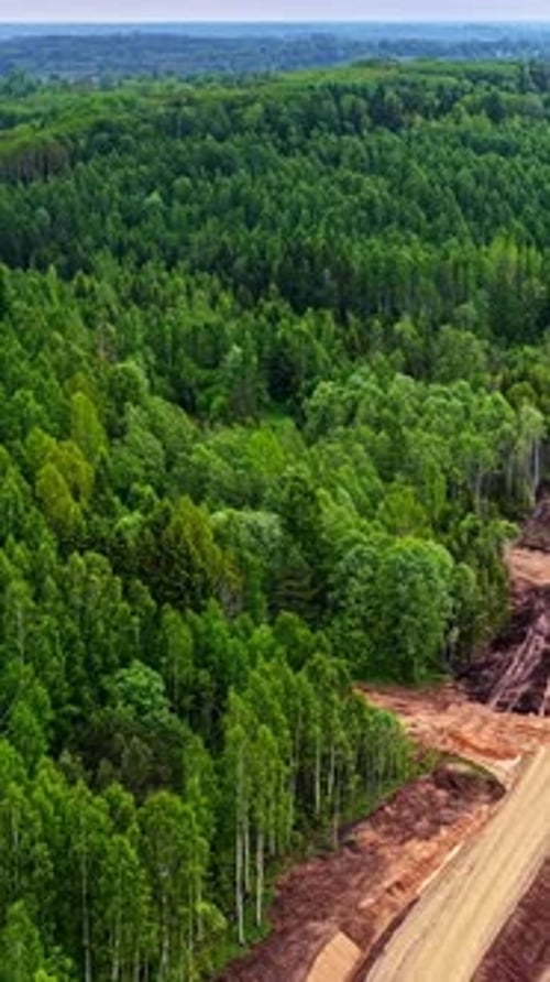 Aerial View of Forest Clearing and Road Construction Through Woodland