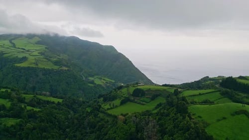 Drone View Forest Coast Washing By Gloomy Ocean Green Slopes Valley Landscape