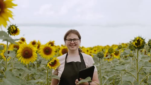Smiling Woman Farmer in Sunflower Field