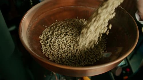 The process of roasting coffee a worker pours raw coffee beans into a modern roaster in a factory