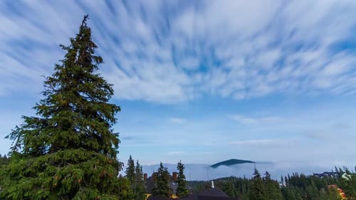 Night Sky Time Lapse over Mountains and Forest