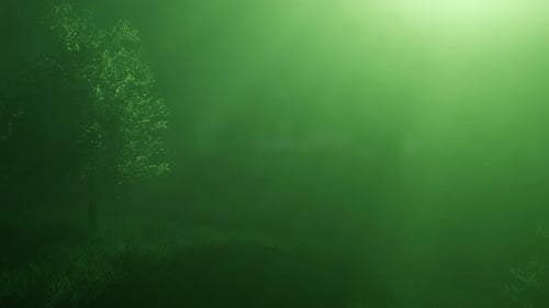 Magischer Wald mit Glitzern