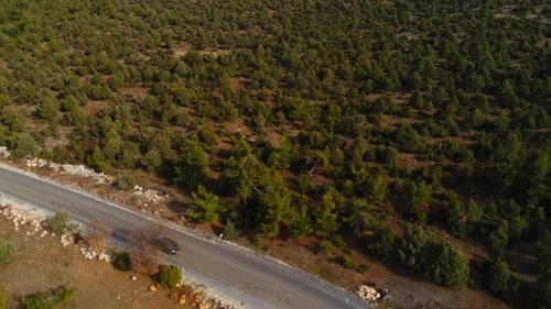 Autofahren von der Straße im Wald