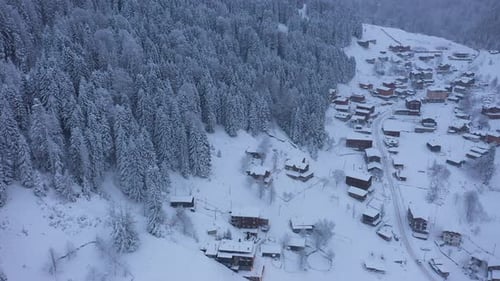 Snowy Village and Forest Aerial View