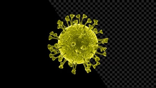 Yellow Virus 3D Medical Animation Loop