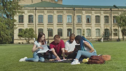 Studenten studieren im Sitzen auf grünem Rasen